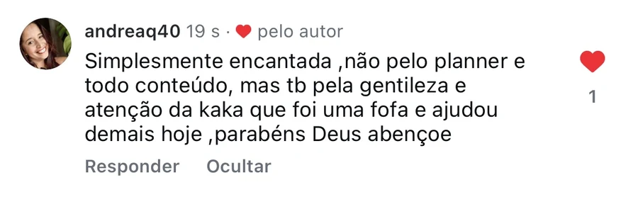 Depoimento: simplesmente encantada com o planner